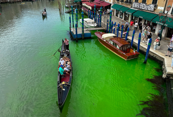Το νερό στα κανάλια της Βενετίας έγινε καταπράσινο