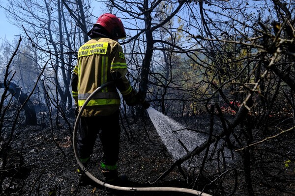 Ασπρόπυργος: Φωτιά κοντά στην Περιφερειακή Αιγάλεω