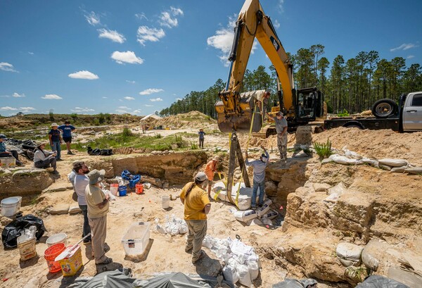 Φλόριντα: Βρέθηκε «νεκροταφείο αρχαίων ελεφάντων» - Σχεδόν 6 εκατομμυρίων ετών