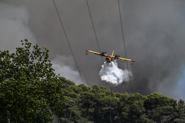 Φωτιά σε δασική έκταση στη Λάρισα - Επιχειρούν και εναέρια μέσα