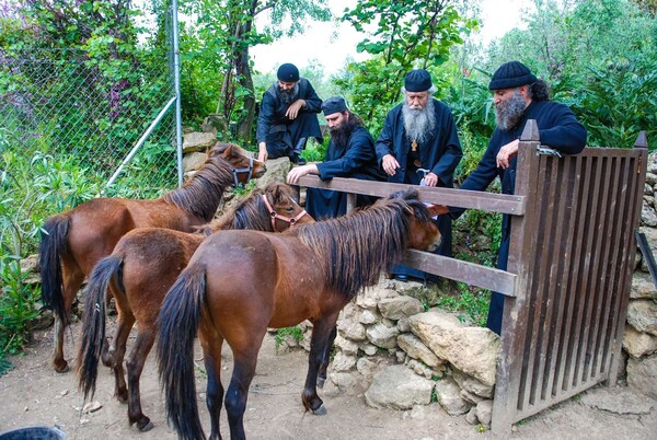 Τα μοναστηριακά προϊόντα που θέλεις να δοκιμάσεις 