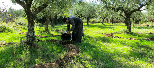 Τα μοναστηριακά προϊόντα που θέλεις να δοκιμάσεις 