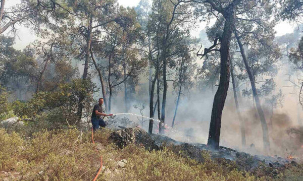 Φωτιά στη Ρόδο - Έχουν σηκωθεί τρία εναέρια μέσα