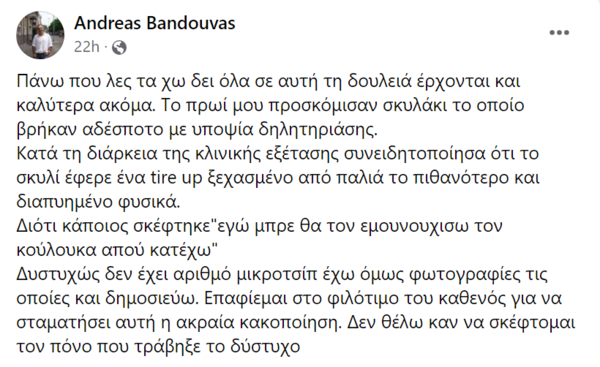 Κακοποίηση σκύλου στο Ηράκλειο: Επιχείρησαν να τον ευνουχίσουν με tire up