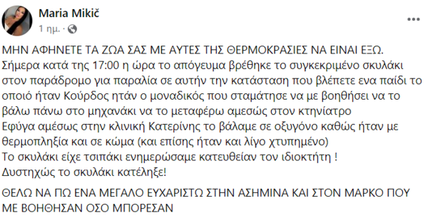 Καύσωνας «Κλέων»: Σκύλος πέθανε από θερμοπληξία στην Κατερίνη