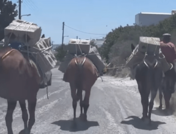 Μουλάρια κουβαλούν τσιμεντόλιθους παρά τον καύσωνα «Κλέων» 