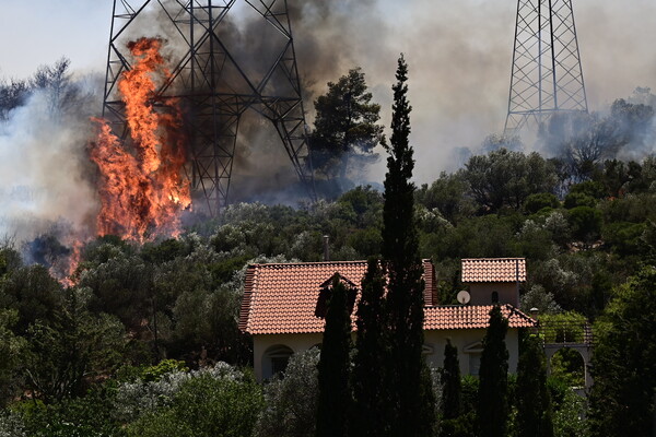 Φωτιά στον Κουβαρά- Δήμαρχος Σαρωνικού: «Υπάρχουν σπίτια που καίγονται»