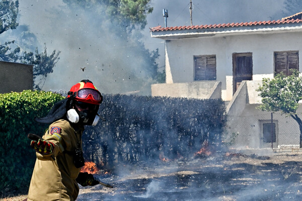 Φωτιές: Ενισχύονται οι δυνάμεις στα Δερβενοχώρια- Πυροσβεστική: «Αποφύγετε την εθνική Αθηνών- Πατρών»