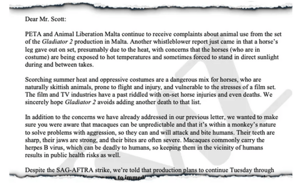 «Μονομαχία» PETA - «Gladiator 2» για κακοποίηση ζώων στα γυρίσματα της ταινίας