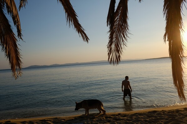 50 παραλίες της Βόρειας Ελλάδας για βουτιές αυτό το καλοκαίρι
