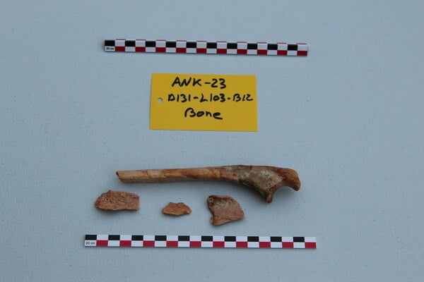 Ναυάγιο Αντικύθηρων: Νέα αρχαιολογικά ευρήματα 
