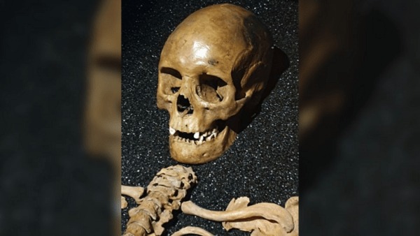 Πέθανε σε ναυάγιο πριν από 400 χρόνια – Ο σκελετός της ανακατασκευάστηκε με ρεαλιστικές λεπτομέρειες