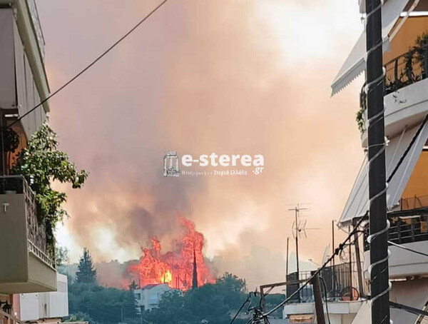 Φωτιά στη Θήβα - Στην περιοχή Αγία Τριάδα