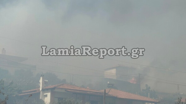 Φωτιά στη Λαμία: Κάηκαν σπίτια, εκκενώνεται τμήμα της πόλης