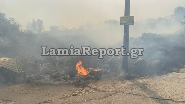 Φωτιά στη Λαμία: Κάηκαν σπίτια, εκκενώνεται τμήμα της πόλης