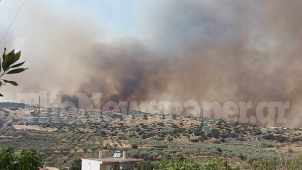 Φωτιά στο Βελεστίνο: Οι φλόγες έφτασαν σε σπίτια- Η κατάσταση σε όλα τα πύρινα μέτωπα