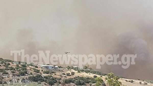 Φωτιά στο Βελεστίνο: Οι φλόγες έφτασαν σε σπίτια- Η κατάσταση σε όλα τα πύρινα μέτωπα