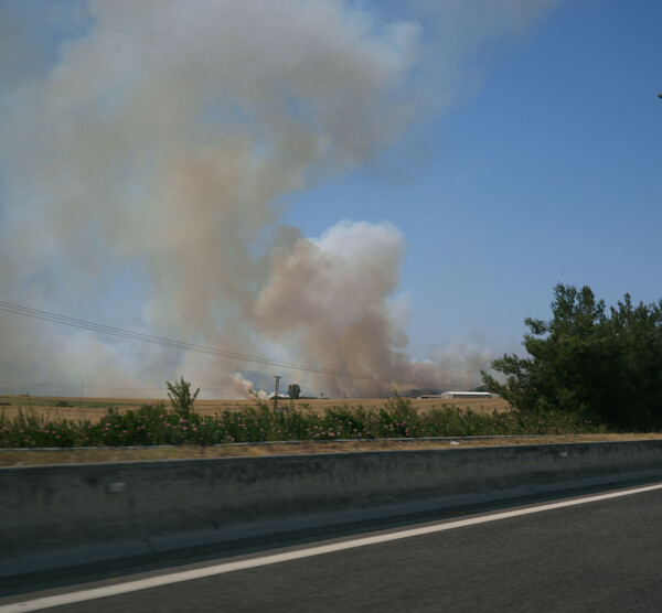 Το καλοκαίρι (9) 