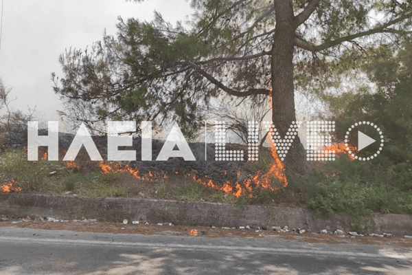 Φωτιές στην Ηλεία: Μήνυμα από το 112 για εκκένωση οικισμών