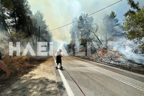 Φωτιές στην Ηλεία: Μήνυμα από το 112 για εκκένωση οικισμών