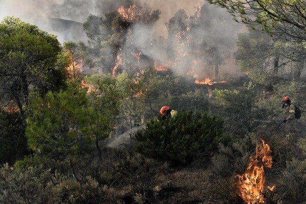 Θερμοκρασίες ρεκόρ στη Μεσόγειο - Το μεγαλύτερο επεισόδιο καύσωνα που έχει καταγραφεί -