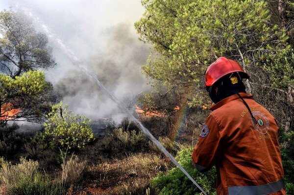 Θερμοκρασίες ρεκόρ στη Μεσόγειο - Το μεγαλύτερο επεισόδιο καύσωνα που έχει καταγραφεί -