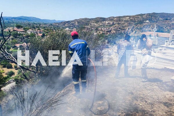 Νέα φωτιά τώρα στην Ηλεία 