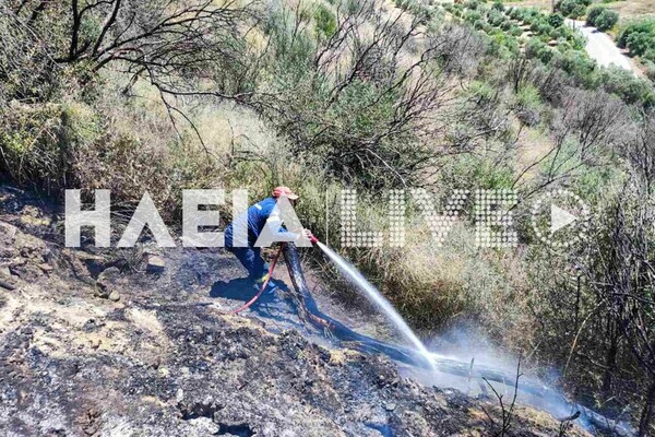 Νέα φωτιά τώρα στην Ηλεία 