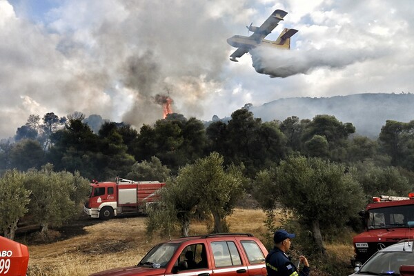 Θερμοκρασίες ρεκόρ στη Μεσόγειο - Το μεγαλύτερο επεισόδιο καύσωνα που έχει καταγραφεί -