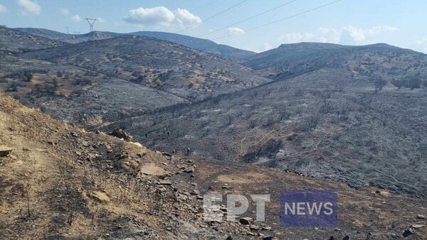 Εκρήξεις στη Νέα Αγχίαλο: Oμάδες του στρατού περισυλλέγουν θραύσματα – Σήμερα το πόρισμα