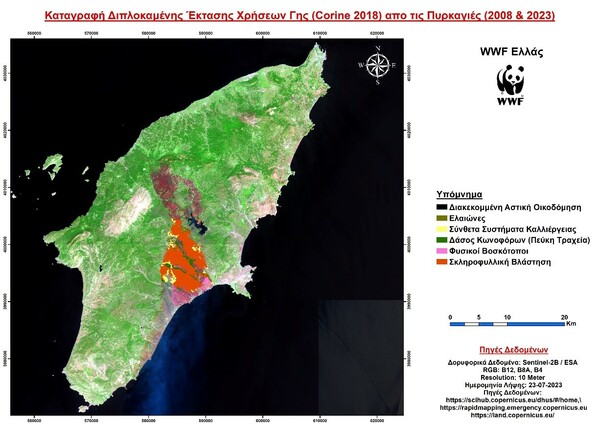 WWF: Ποιά είναι η καταστροφή στη Ρόδο πως θα έρθει η αναγέννηση