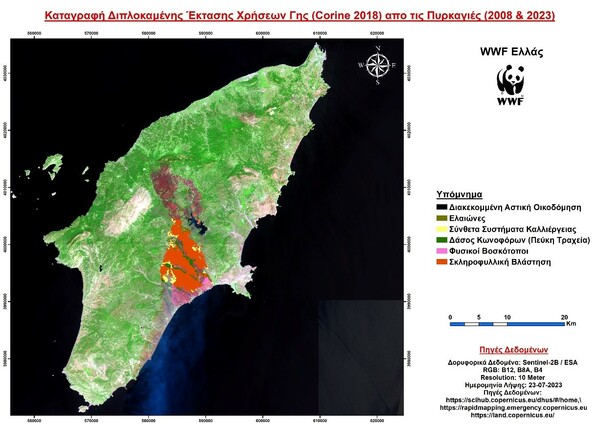 WWF: Ποιά είναι η καταστροφή στη Ρόδο πως θα έρθει η αναγέννηση