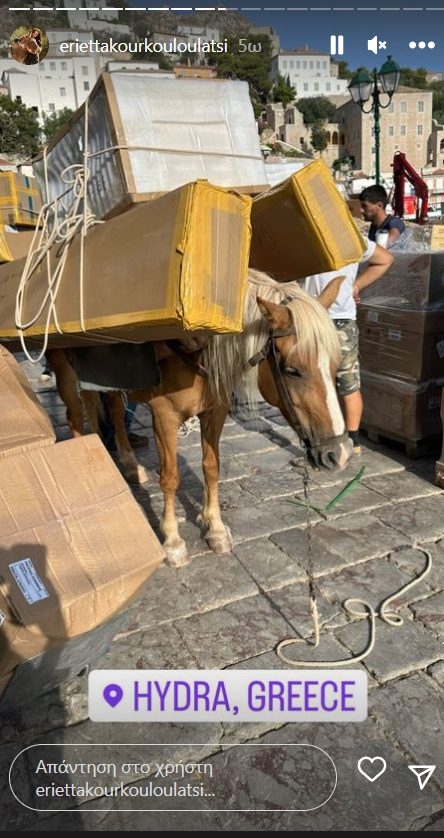 Γαϊδούρια κουβαλούν βαριά αντικείμενα στην Ύδρα- Οργή για το νέο περιστατικό κακοποίησης ζώων