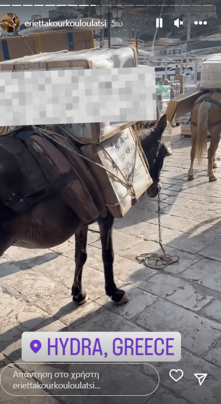 Γαϊδούρια κουβαλούν βαριά αντικείμενα στην Ύδρα- Οργή για το νέο περιστατικό κακοποίησης ζώων