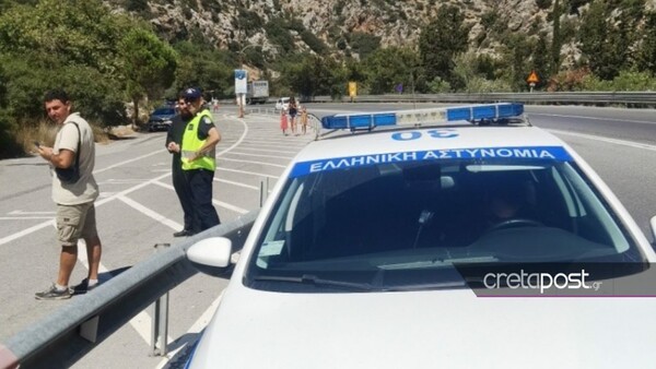 Κρήτη: Όρνιο εξαντλημένο από ζέστη βρέθηκε στη μέση εθνικής οδού - Του έδωσαν νερό