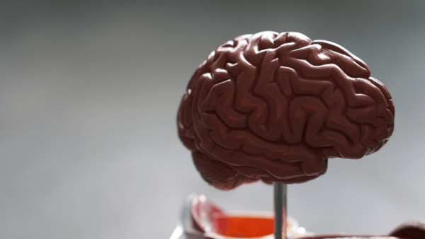 Νέα ανακάλυψη δίνει ελπίδες για τη «μάχη» κατά του Αλσχάιμερ και άλλων νευρολογικών παθήσεων