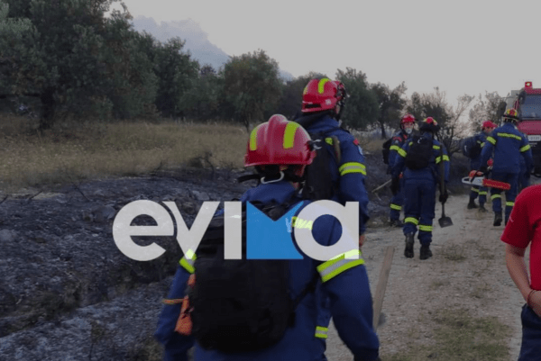 Εντοπίστηκαν ανθρώπινα μέλη σε χωριό στην Εύβοια- Πού εστιάζουν οι έρευνες