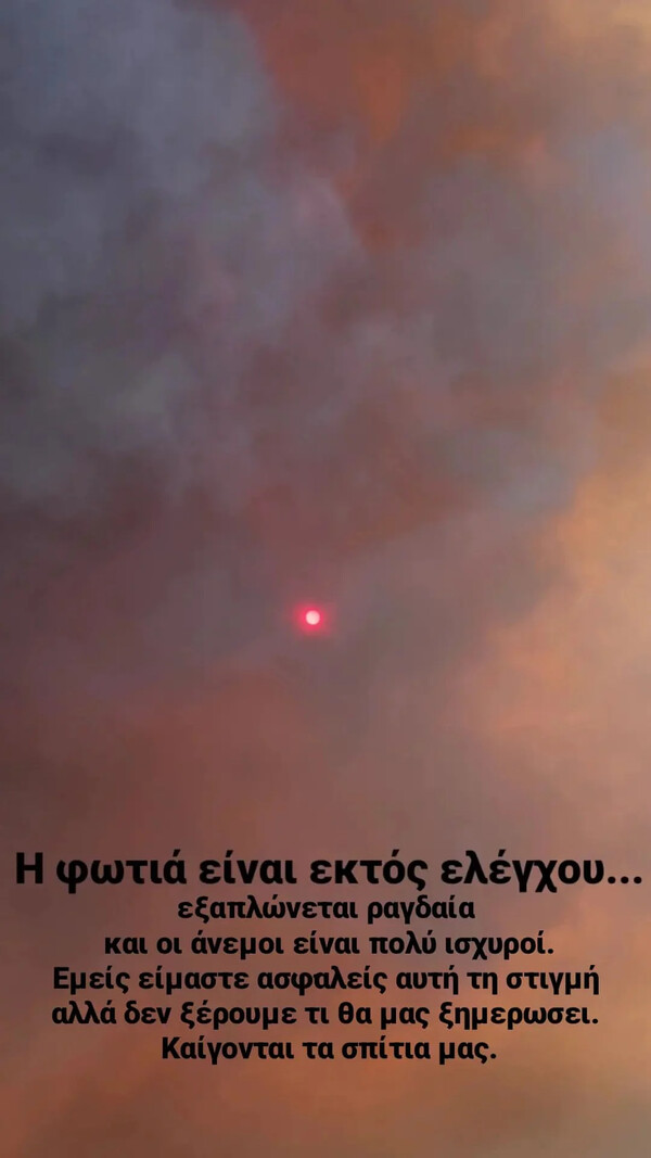 Φωτιά στην Αλεξανδρούπολη: «Καίγονται τα σπίτια μας»– Η ανάρτηση από την Σοφία Κουρτίδου
