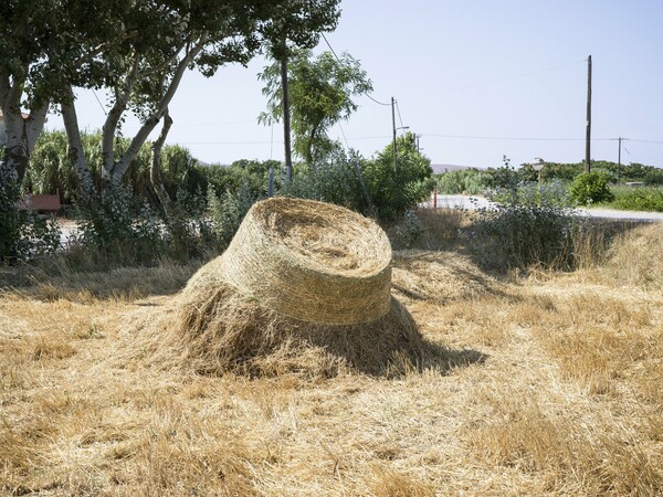 Έβδομη επιστολή του Βρασίδα Καραλή σε μένα