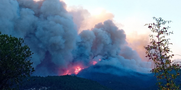 Φωτιά στον Έβρο: Εντοπίστηκε ένας νεκρός στην περιοχή Λευκίμμη