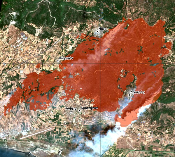 Φωτιά στην Αλεξανδρούπολη: Οικολογική καταστροφή με εκτιμήσεις για 75.000 καμένα στρέμματα