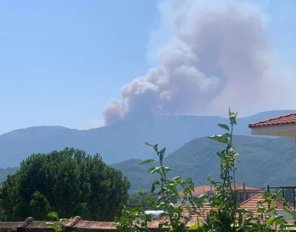 Φωτιά σε Μακρυκώμη Φθιώτιδας και Κρυονέρι Αιτωλοακαρνανίας