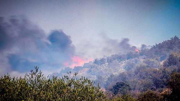 Φωτιά στη Βοιωτία: Μήνυμα του 112 για εκκένωση 9 οικισμών