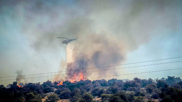 Φωτιά στη Βοιωτία: Νέα αναζωπύρωση στον Πρόδρομο 