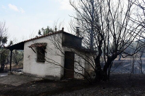 Φωτογραφίες από τα κύρια μέτωπα που μαίνονται στην Ελλάδα