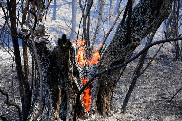 Φωτογραφίες από τα κύρια μέτωπα που μαίνονται στην Ελλάδα