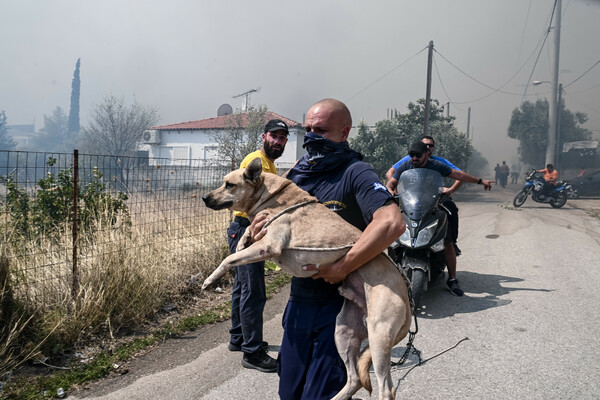 Φωτογραφίες από τα κύρια μέτωπα που μαίνονται στην Ελλάδα