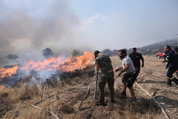 CHECK Δασικές πυρκαγιές: πύρινη κόλαση με νέα αρνητικά ρεκόρ