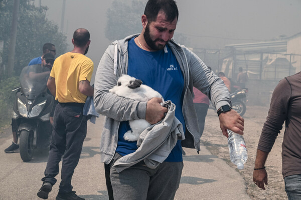 Δραματικές εικόνες από τη φωτιά στην Πάρνηθα