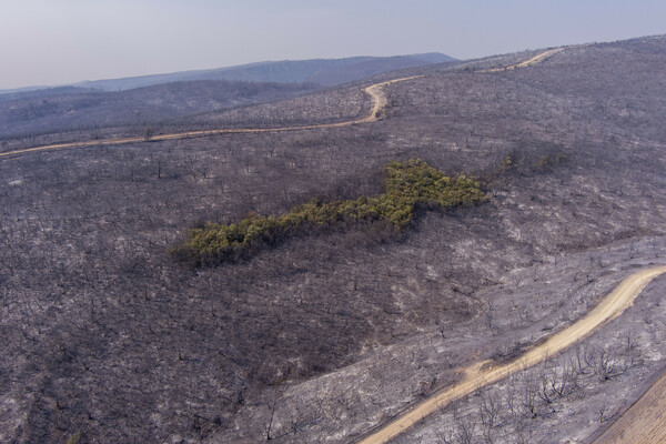Φωτιά στην Αλεξανδρούπολη: 15 εικόνες από την τεράστια καταστροφή 
